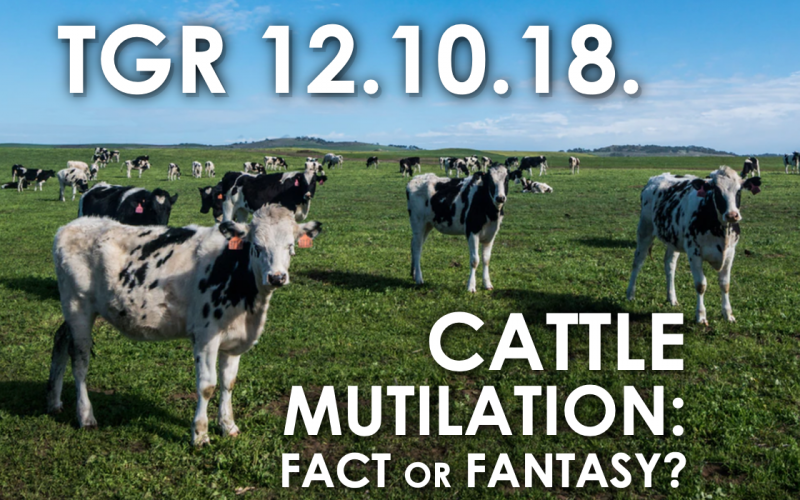 cattle mutilations