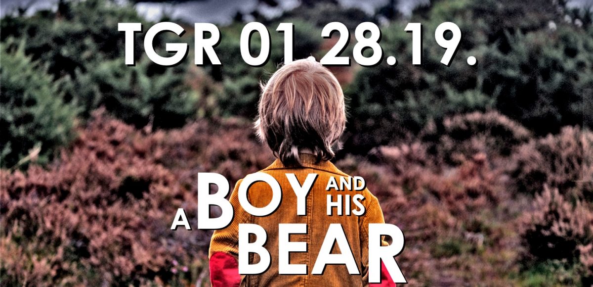 bear