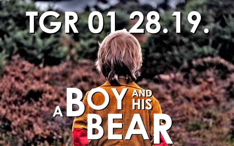bear