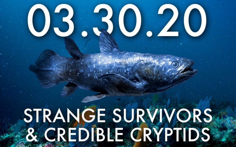 strange survivors