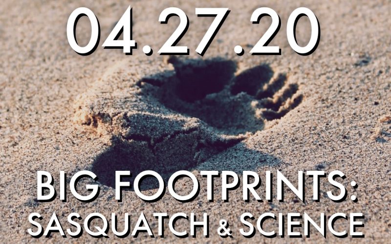 sasquatch