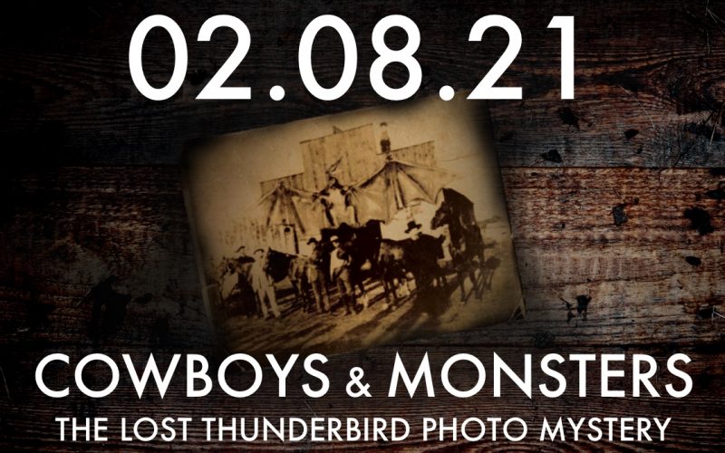 Thunderbird photo
