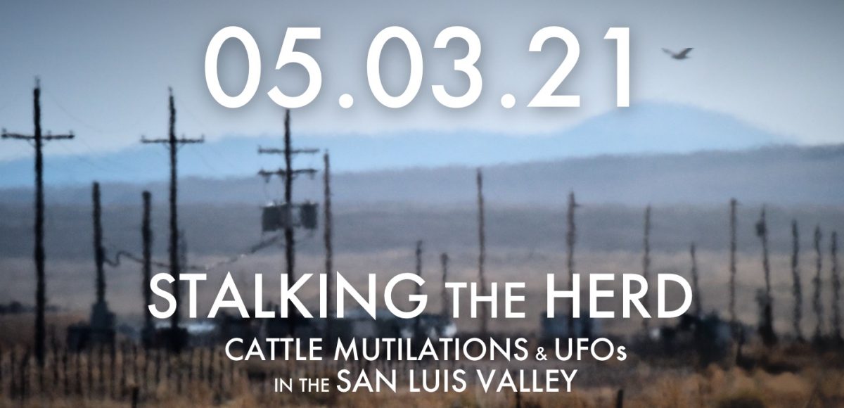 cattle mutilation