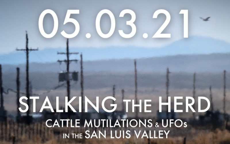 cattle mutilation