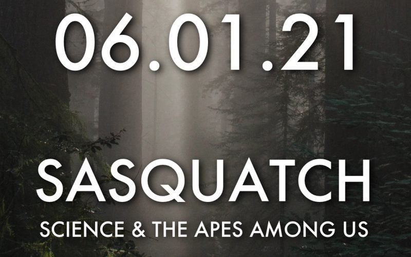 Sasquatch